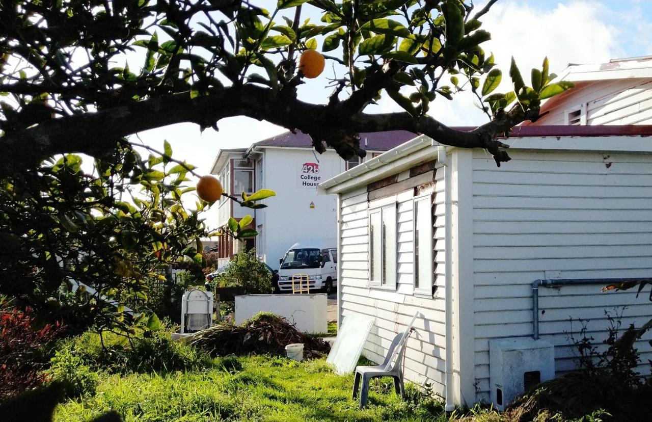 42B College House Hostel Whanganui Buitenkant foto